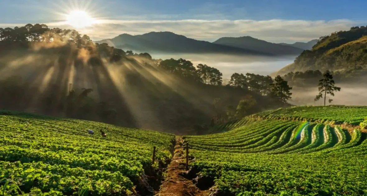 Karnataka